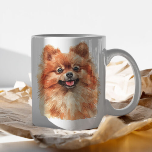 WB0743 Pomeranian 15 Чаша с померан с рижава козина