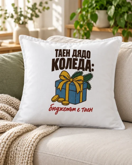 Бяла възглавница с подаръчна кутия, панделка, монети и надпис за Таен Дядо Коледа – на дивана